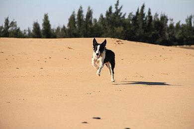 索尼：PS5 Pro是一个全套产品 给玩家带来非凡价值
